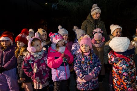 praznične luči _ 2024 (19)